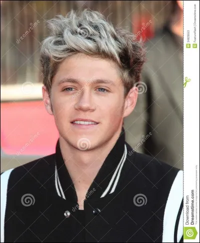 Que faisait Niall sur la photo avec son frère ?