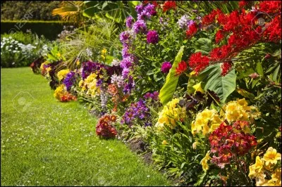 Où fait-on pousser des fleurs ?