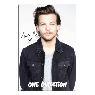 Louis Tomlinson a écrit combien de chansons dans l'album ?