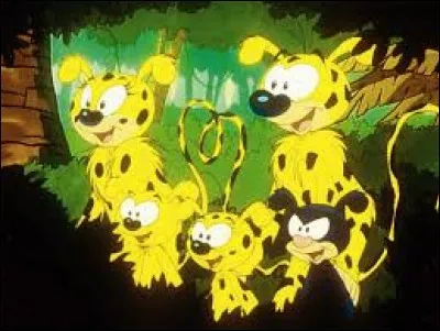 Quel est ce dessin animé ?