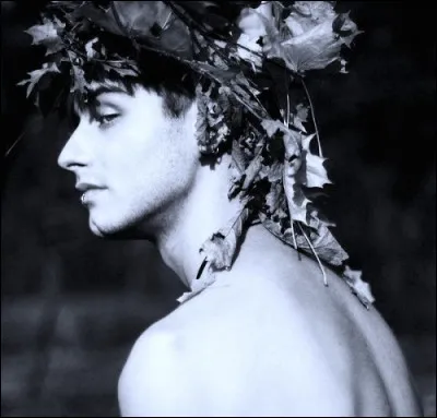 Dieu des extases et de la fête : qui suis-je ?