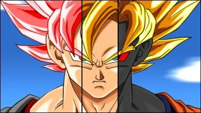 Qui est le personnage qui déteste le plus Goku ?