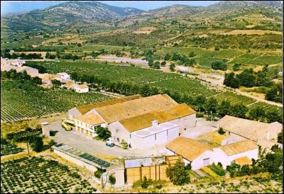 En quelle année avait été construite la cave coopérative ?