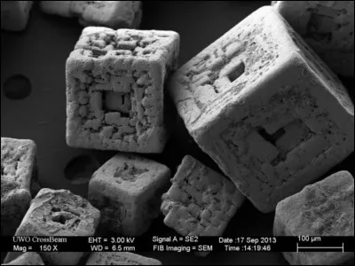 Que sont ces choses observées au microscope ?