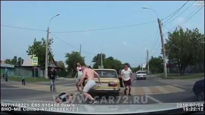 "Y a deux sortes d'automobilistes : ceux qui sont au volant de leur voiture, et ceux qui en sont descendus. Les premiers s'appellent les affreux chauffards et et les deuxièmes les horribles piétons.". ..De qui est ce?