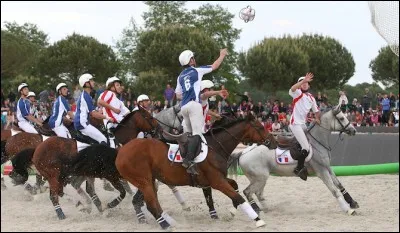 Aimes-tu le horse-ball ?