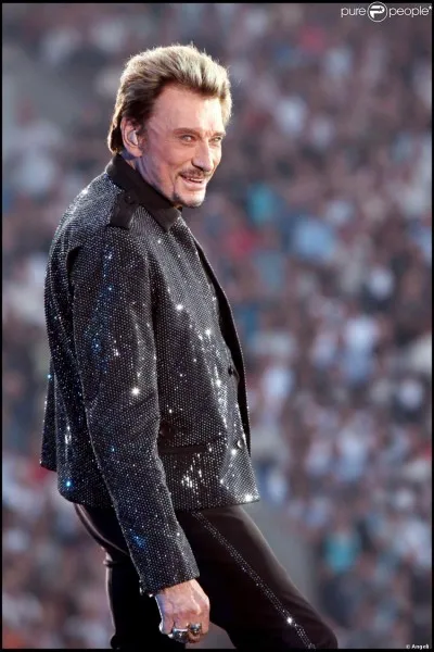 Quelles chansons ont été chantées par Johnny Hallyday ?