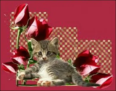 Symbole chinois représentant le principe originel de l'Univers par l'union du yang et du yin :