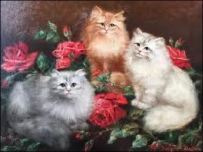 Matière synthétique poreuse, granuleuse, très dure, utilisée comme revêtement pour les cours de tennis en plein air :