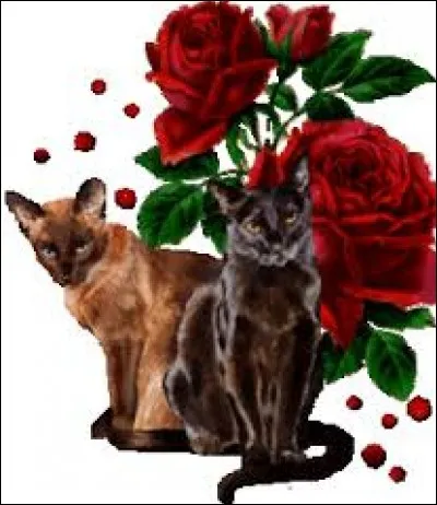 En architecture, découpure en forme de dent pour former un ornement.