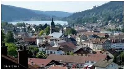 Quelle fleur est à l'honneur dans la Perle des Vosges tous les deux ans ?