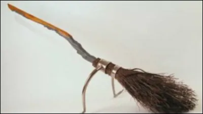 Celui qui offre l'éclair de feu à Harry est finalement :