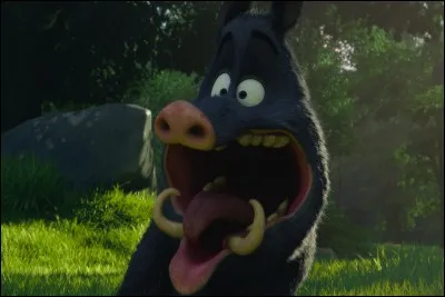 Quel animal préfères-tu ?