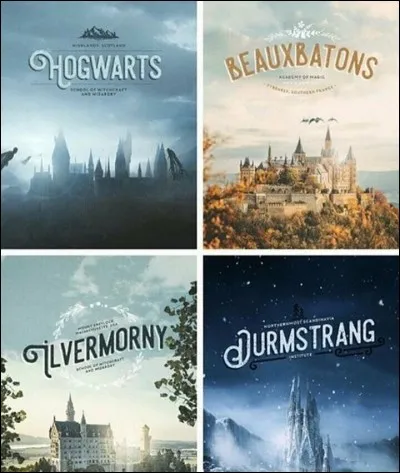 Quelle est la meilleure école de magie du monde pour les sœurs Goldstein ?