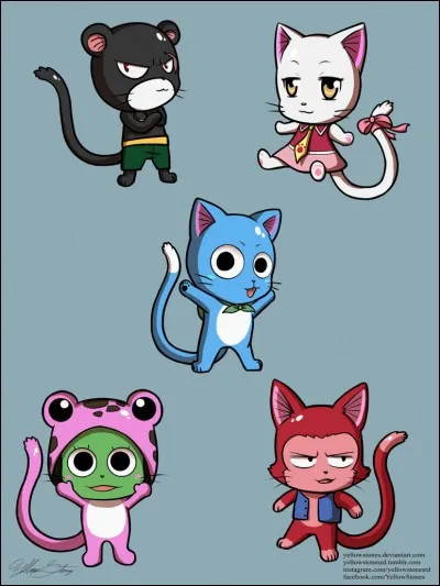 D'où viennent les Exceeds ?