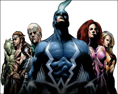 De quel groupe Flèche noire fait-il partie ?