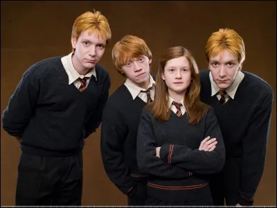 Quel est le sang de la famille Weasley ?