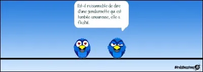 De belles auxiliaires de police, un peu vieillottes, mais très jolies dans leur bel habit.