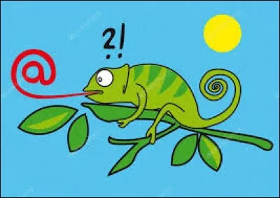 On peut aussi y trouver presque des pépettes d'un site de jeu très célèbre ?