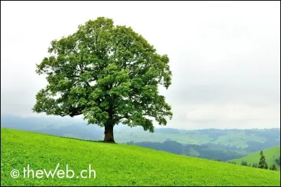 Sors-tu souvent dehors ?