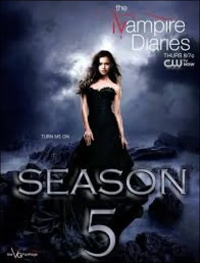 Qui a le remède pour Elena et Damon ?