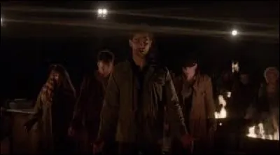 Qui a été capturé par les voyageurs ?