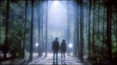 Qui meurt pour de bon ?