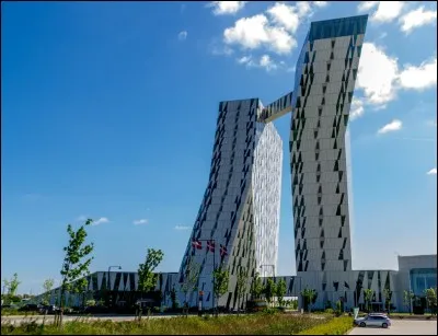 Comment s'appellent les habitants du Danemark ?