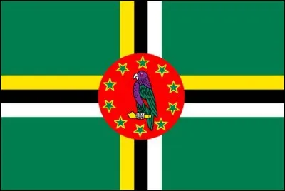 C'est le drapeau ...