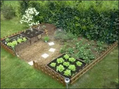 Jardin ou partie de jardin où se pratique la culture vivrière de plantes, généralement herbacées, destinées à la consommation familiale.