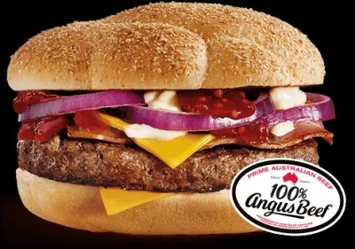 Même burger que celui juste avant, mais sans la salade.