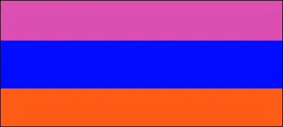 Ce drapeau a les couleurs négatives, ce pays est ...