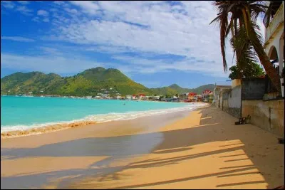 Comment les deux personnages se retrouvent-ils sur une &icirc;le d&eacute;serte ?