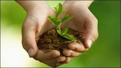 Que devront faire les États d'ici la COP24 qui se déroulera en Pologne fin 2018 ?