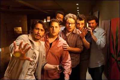 Dans quel film, mettant aussi en vedette Seth Rogen, joue-t-il son propre rôle ?