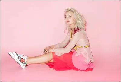 Qui chante "I Would Like" en 2017 ?