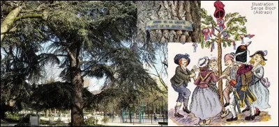 Rejoignons le « parc de Choisy » !
Où l'on peut constater l'absence de démocratie de l'Allemagne nazie voire son rejet total de la Révolution de 1789 !
Que c'est-il passé dans ce parc, en 1940 ?