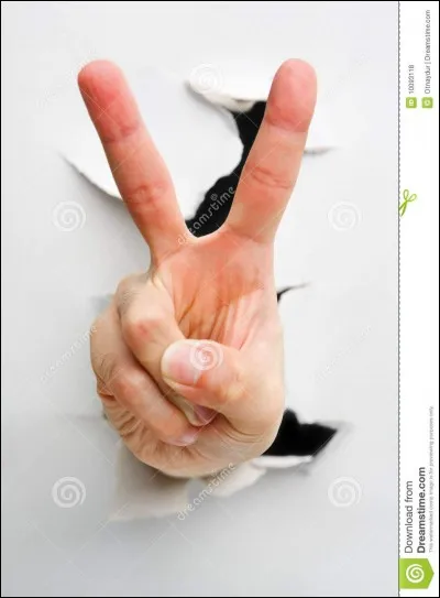 Mais avant cela, deux partis politiques sont n&eacute;s du mouvement du 04/05/1919. Lesquels ?