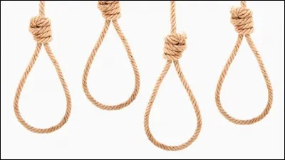 En 1957, la "R&eacute;volution des 100 fleurs" est mise en place. En quoi cela consiste-t-il ?