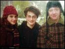 Quel âge ont Harry, Ron et Hermione sur cette photo ?