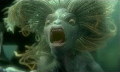 Quelle est cette crature ?