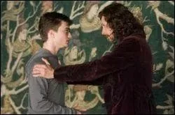 Qu'est-ce que Sirius est en train d'expliquer  Harry ?