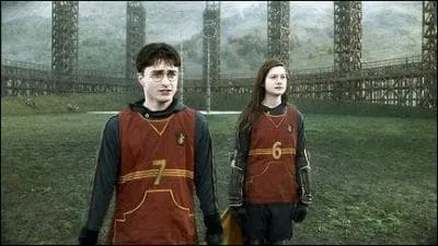 En temps normal, quel poste occupe Ginny au Quidditch ?