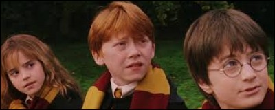 Dans "Harry Potter à l'école des sorciers", qui rencontre-t-il en premier ?