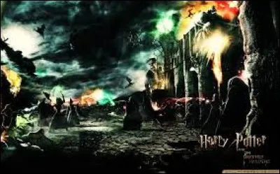 Dans "Harry Potter et les Reliques de la mort", partie 2, qui n'est pas censé se battre ? (livre)