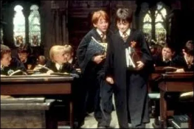 Dans "Harry Potter à l'école des sorciers", qui est leur professeur des défenses contre les forces du mal ?