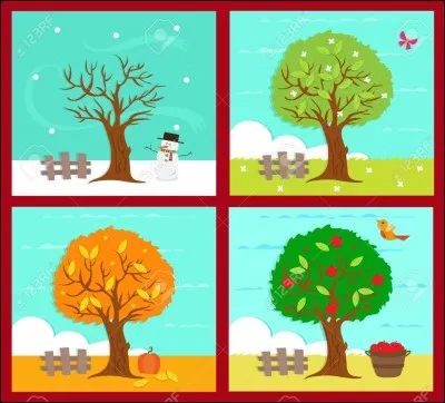 Quelle saison es-tu né (si il y en a deux choisis-en une) ?