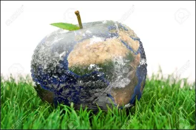 Préfères-tu les pommes ou l'herbe ?