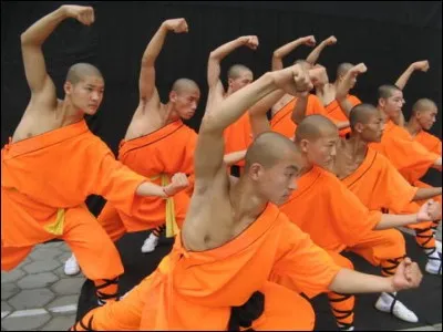 Combien y a-t-il de poings vengeurs de shaolin dans un film de 1977 ?
