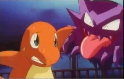 Pourquoi Sacha va-t-il dans cette maison ?